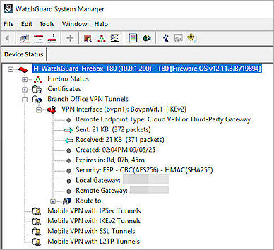 Screenshot of VPN status verify